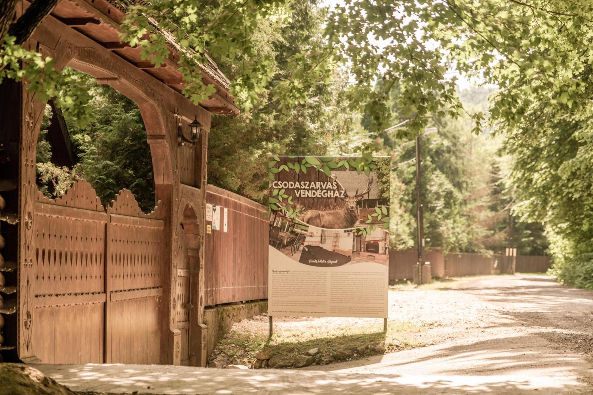 Csodaszarvas Vendeghaz Holiday home