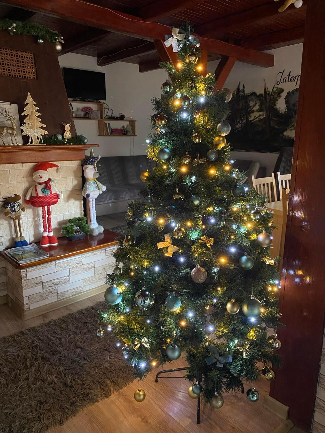 Csodaszarvas Vendeghaz Saly