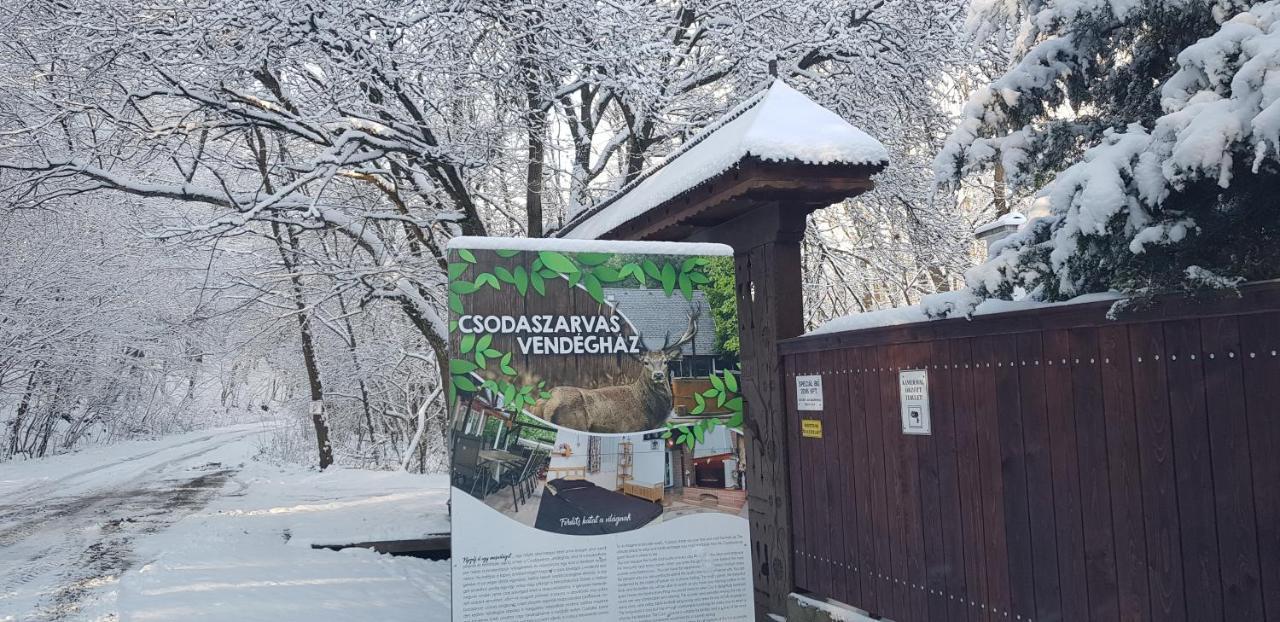 Csodaszarvas Vendeghaz Дом отдыха *